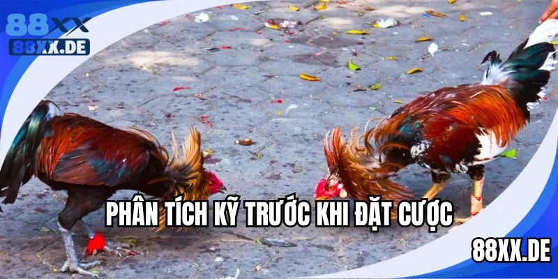 Phân tích kỹ trước khi vào tiền cược