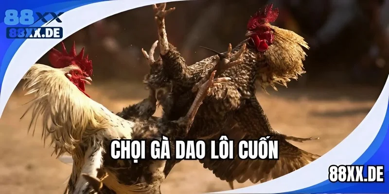 Xem và cược chọi gà cựa dao hấp dẫn